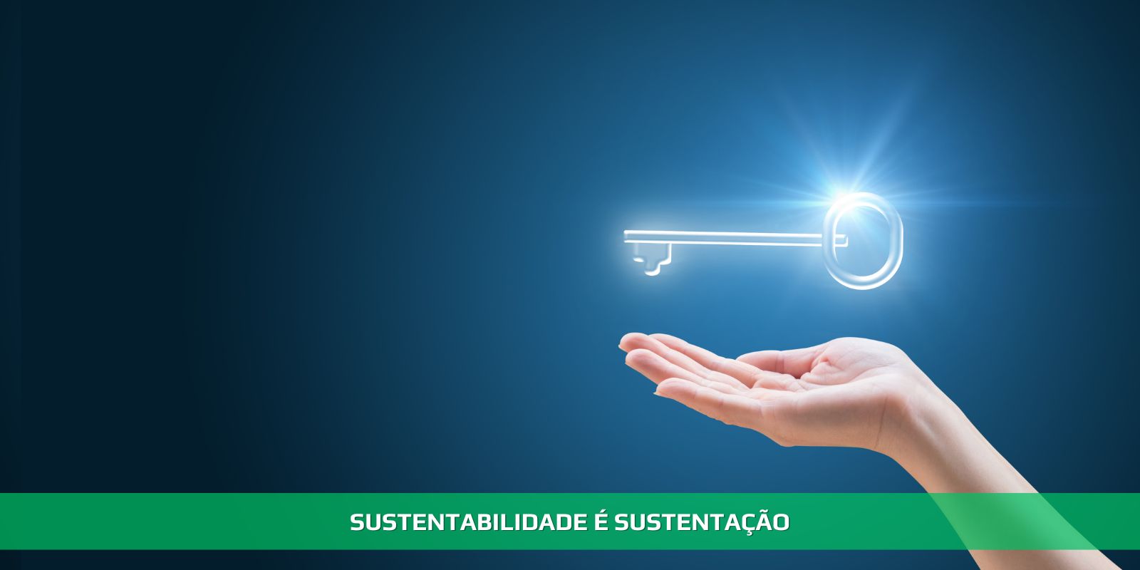 Figura 4 - SUSTENTABILIDADE. SUA EMPRESA PRECISA DISTO